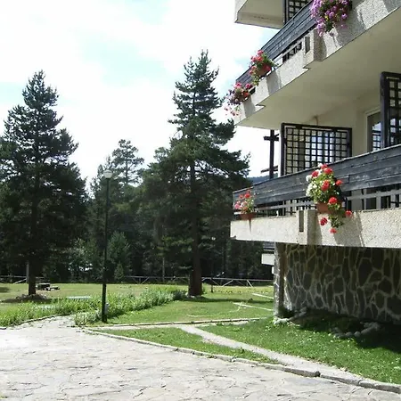 Bor Belitsa (Blagoevgrad)