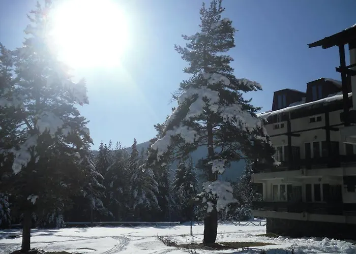 Hotel Bor Belitsa (Blagoevgrad)